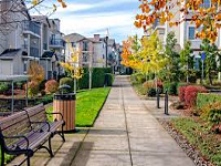 Chimney Sweep Cedar Mill